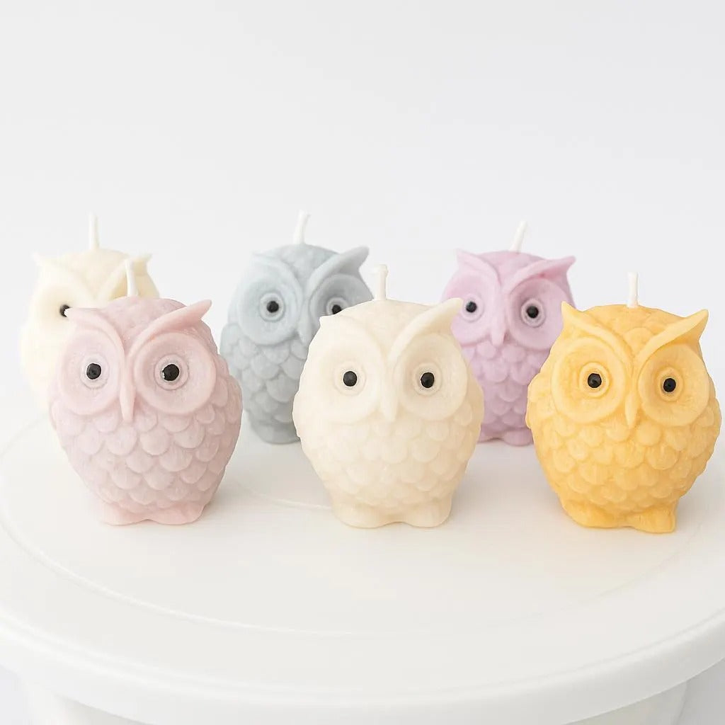 Hand Poured Owl Soy Wax Candle | Whimsical Owl Candle Gift Set of 6