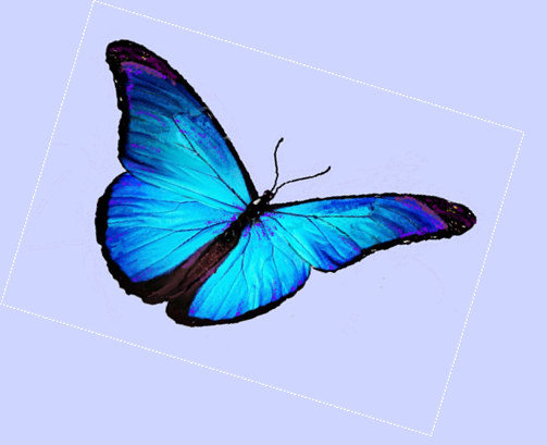 Store: Natural Matrix Therapy