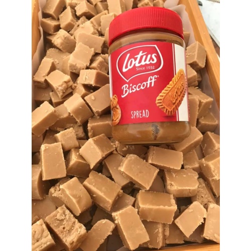 BISCOFF FLAVOUR FUDGE 200g