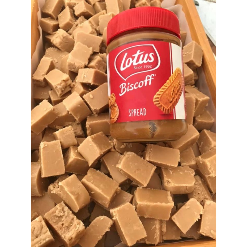 BISCOFF FLAVOUR FUDGE 200g