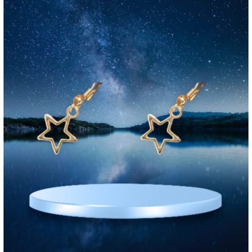 Star earrings