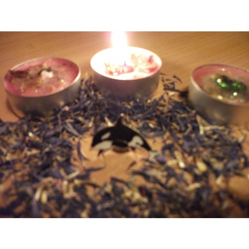 ORCA WHALE SPIRIT GUIDE BROOCH