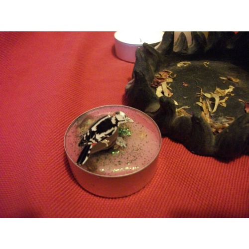 WOODPECKER SPIRIT GUIDE BROOCH