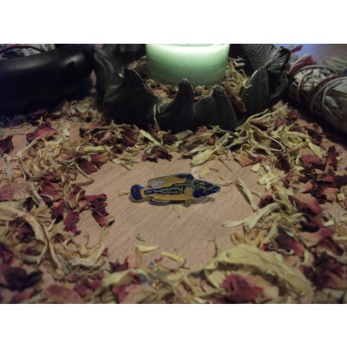 FISH SPIRIT GUIDE BROOCH