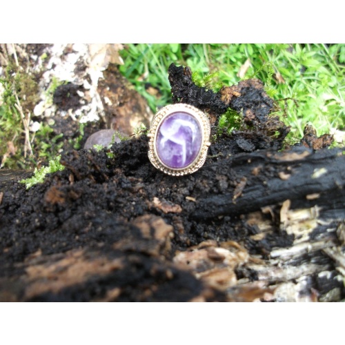 Spirit Companion Katie Animal lover and Protector