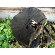 Spirit Companion Child Jane