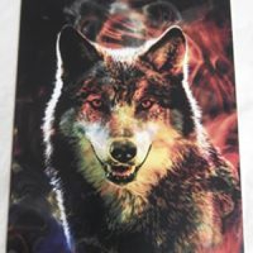 Wolf Life Path Card Reading - 3 Card Reading