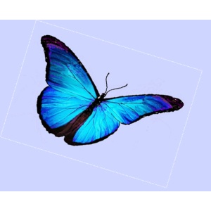 Natural Matrix Therapy