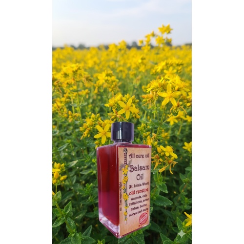 Balsam St. John's Wort Oil 50ml: Ancient Herbal Protector and Healer.To heal wounds, remedy kidney troubles. For excoriations, wounds, and bruises.